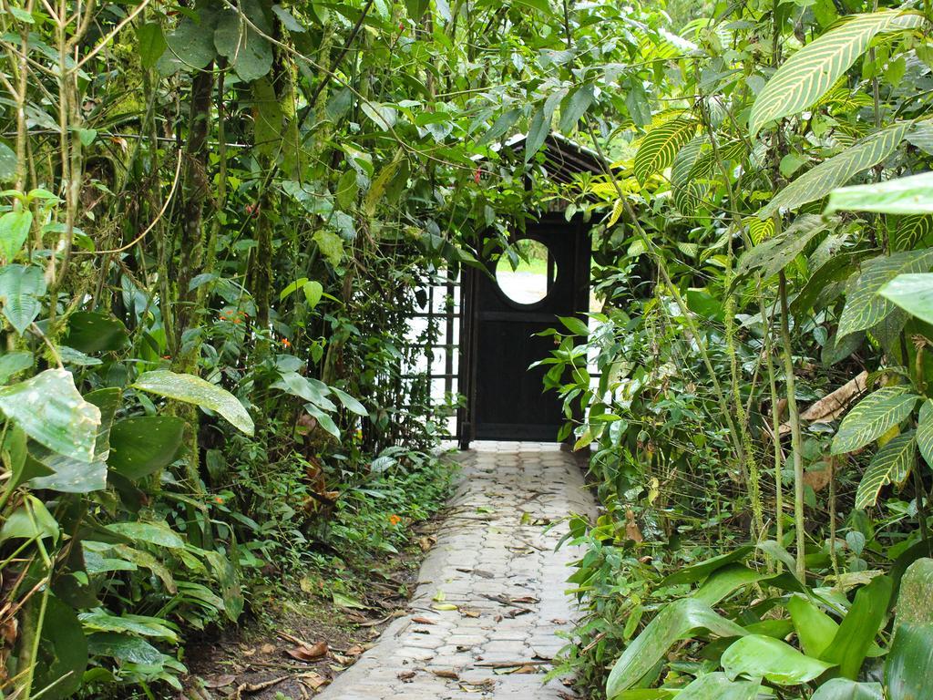 El Septimo Paraiso Mindo Extérieur photo